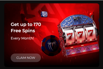 Payments & Withdrawal Spiderbets Casino